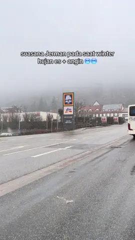 Love hate with winter season 😩😩 #traveling #explore #europe #germany 