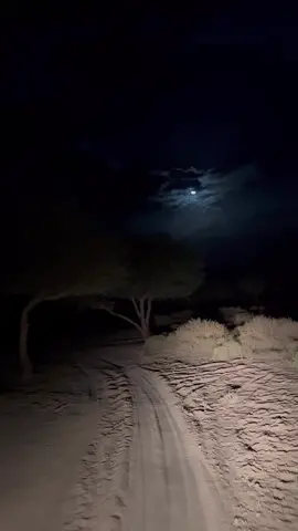 #اكسبلور #قمر #viral 