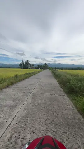 Free to use mga boss #fyp #foryoupage #nature 