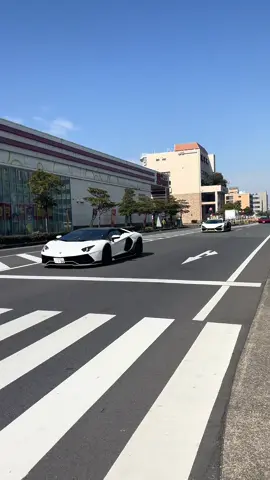 Lambolghini #lambolghini #lambolghiniaventdor #lambolghinirevuelto #morohoshifamily 