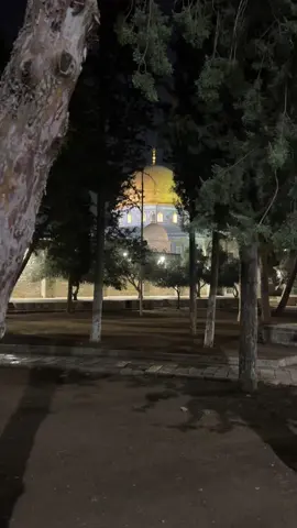 ‏فلسطيني وأفتخر ابن اللد#🤲 #اكسبلور #🤲 #