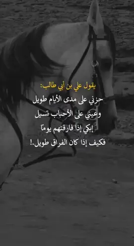 يقول علي بن أبي طالب #fyp #you #اعادة_النشر #اكسبلورexplore❥🕊 