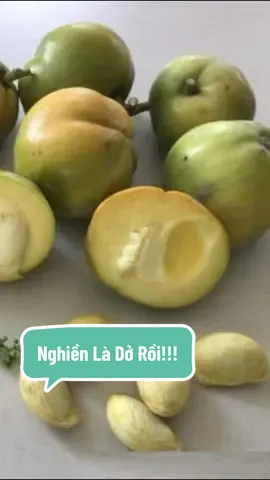 Bác nào đã tường ăn Quả Bánh Kem mềm mịn là sẽ không dứt ra được😋 #nhavuonngoclam #cayanqua #caybanhkem 