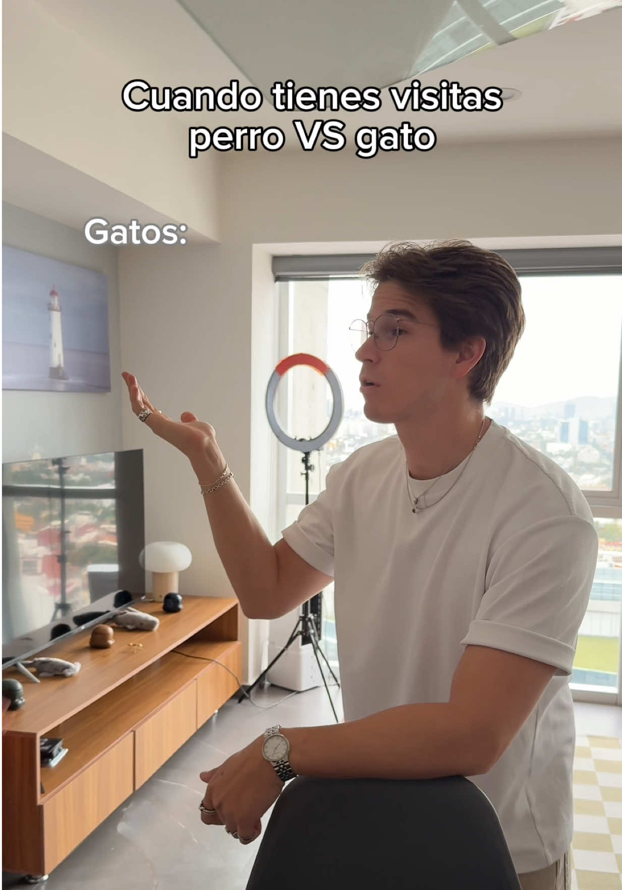 Si es más fácil ganarte al perrito que al gato  (IG:bicho_orozco) #fypシ゚ #viral #bichoorozco #humor #risa #comedia #perros #gatos 