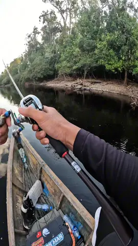 Sebesar apapun ikan nya betot saja #casting #toman #fyp 