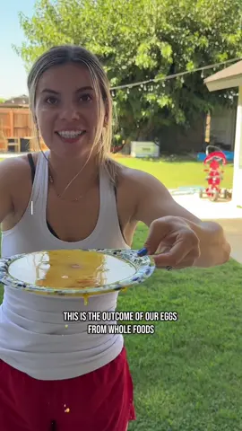 Trader Joe’s 1 Whole Foods.. 0 ☹️ #fertileeggs #traderjoes #wholefoods #egghatching