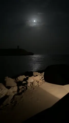 #alwajh 