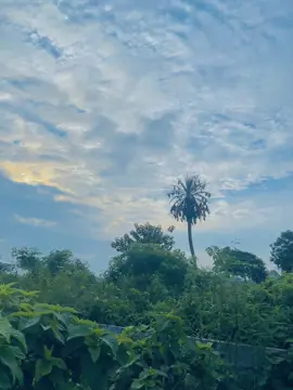 আপনি আমি যখন ইন্তাকাল করব তার ৪০ দিন পরে কেউ মনে রাখবে না 😅 দোনিয়া টা অনেক 😅😅 . . #trending #foryoupage #viralvideo #foryou 