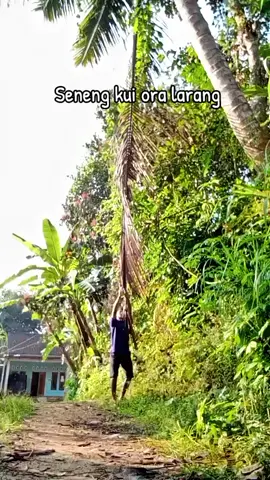 tenang