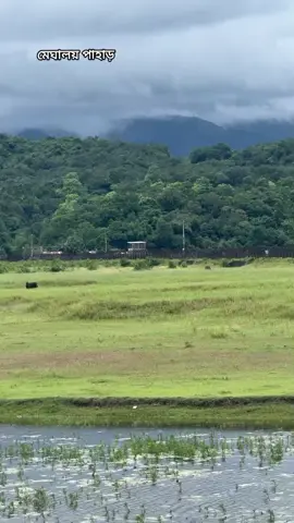 প্রাকৃতিক সুন্দর মেঘালয় পাহাড় 😯😎
