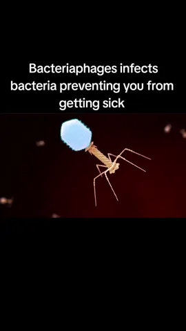 Bacteriaphage #foryoupage 