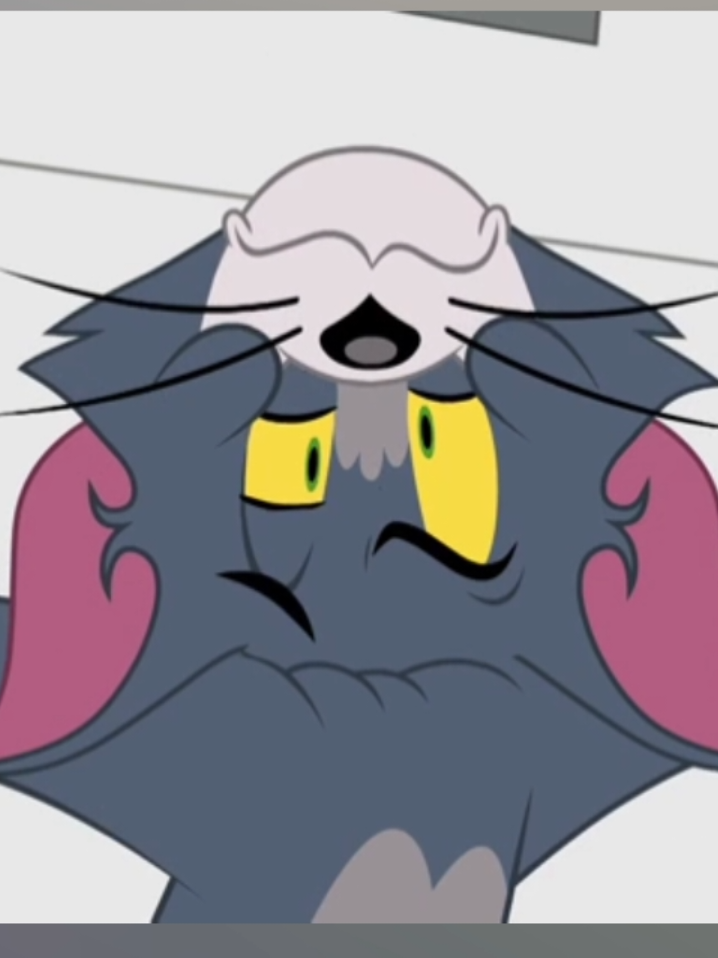 The Ultimate Tom and Jerry Comedy Chase #tomandjerry #animation #funny #cartoon #fyp 