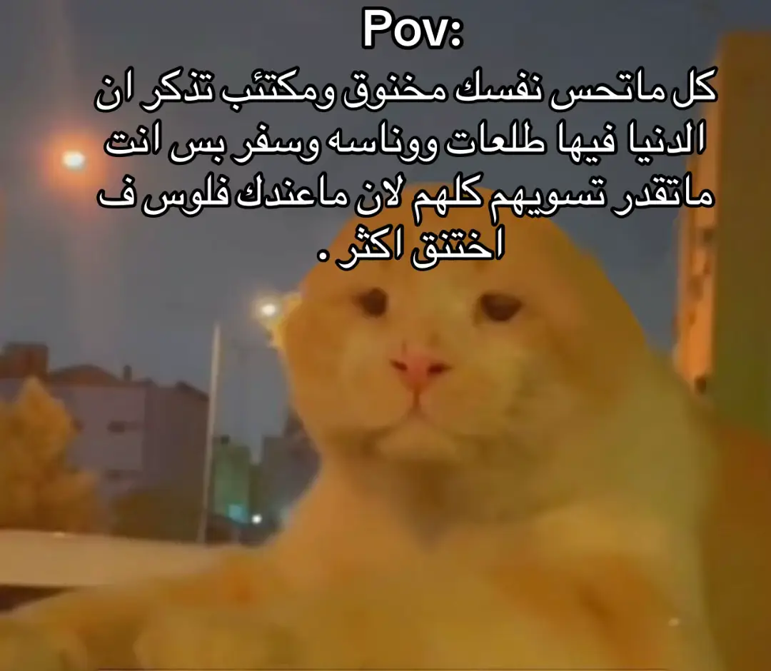 #اكسبلورexplore #الشعب_الصيني_ماله_حل😂😂 #fyp 
