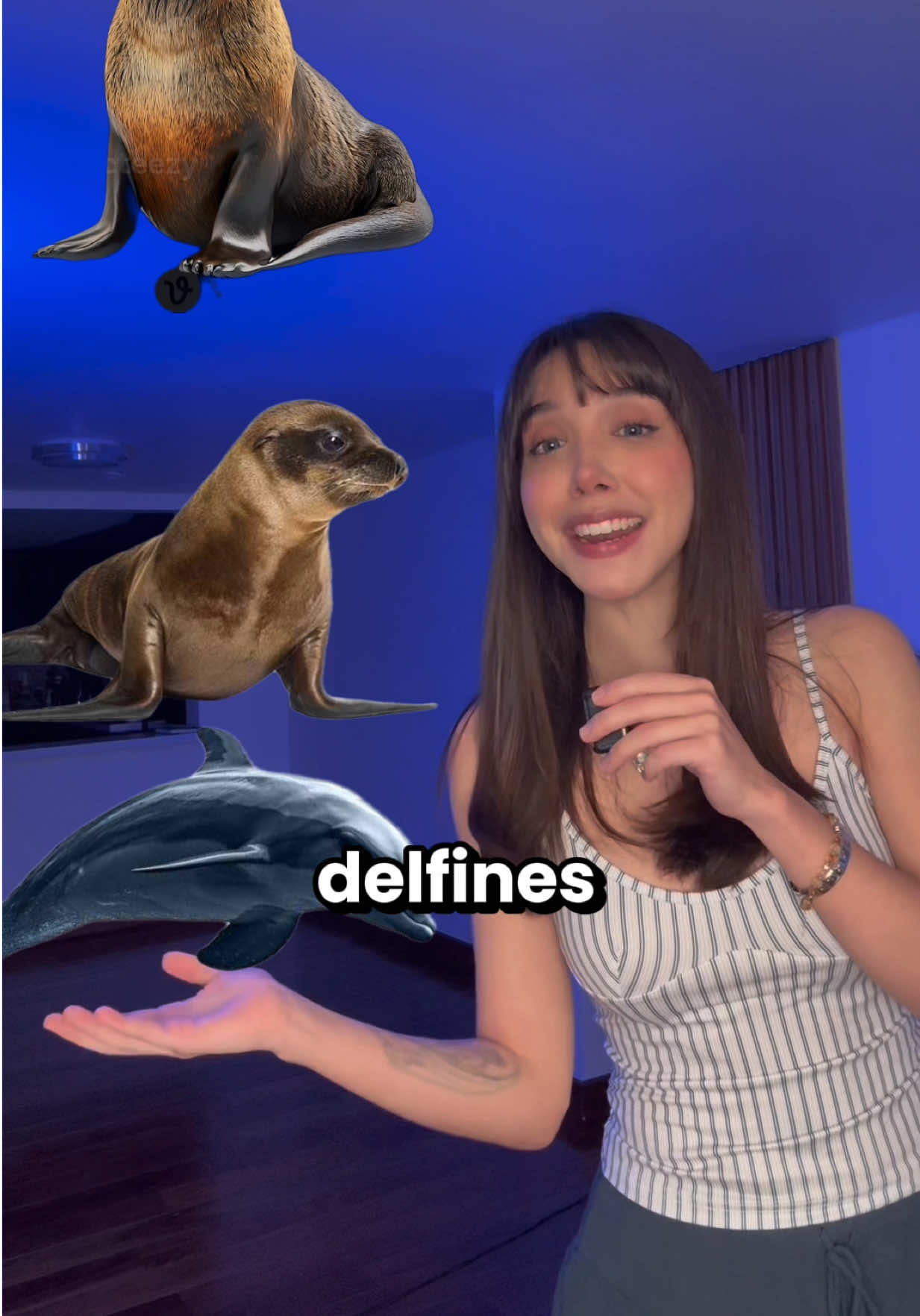 Hoy es un mal día para ser un alce  #curiosidades #bethcast #orca #oceano 