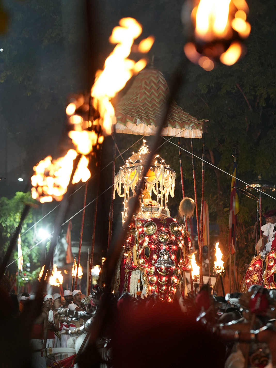 Witness the Magic of Kandy Esala Perahera 2025!💫 . . . . #kandy #srilanka #fypシ゚ #Perahara2025 #pasindubweerasinghe #aviora #onemillionaudition #travel 