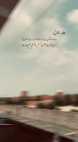 Support guyz 🤌 || JBH 🫠🌸#foryoupagе #poetry #support #viral_video #tik_tok #plzunfreezmyaccuont 