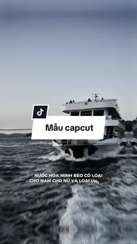 #CapCut nước hoa minh béo ... #moingaymotbannhac #viral #nhachaymoingay #edit #fyp #thuancapcut #LearnOnTikTok #capcutmaster #xuhuong 