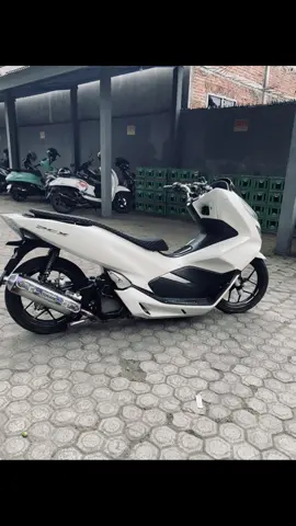 R14/R17?? #fyp #masukberanda #pcxแต่งสวย #pcx150ล้อ17แต่งสวย #pcxproper #pcxproper_id #pcxindonesia 