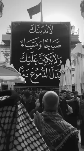 رحلة العشق.. #علي_بن_ابي_طالب #الحسين #محرم #شيعة #النجف