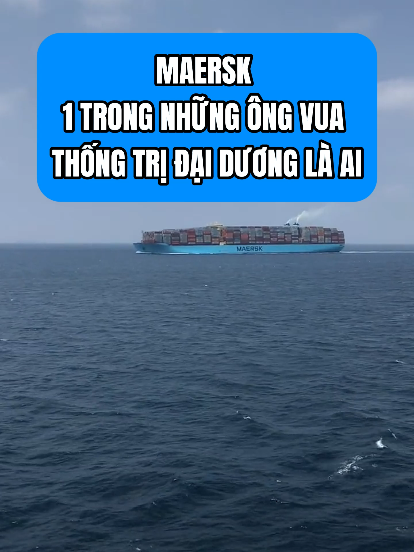 Maersk - Một trong những ông vua thống trị đại dương #tbsgroup #nhaphangtrungquoc #vanchuyentrungviet