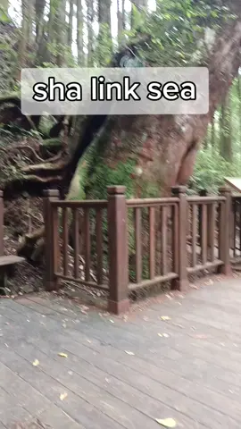 sha Ling sea#taiwan🇹🇼 #indonesia🇮🇩 #bangkit #jaya #maju #makmur #salamanakrantotaiwan🇲🇨🇹🇼 