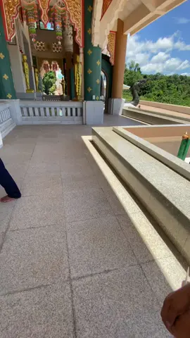 #ฟีด #วัดป่าภูก้อน #อุดรธานี ขอใจหน่อย❤️