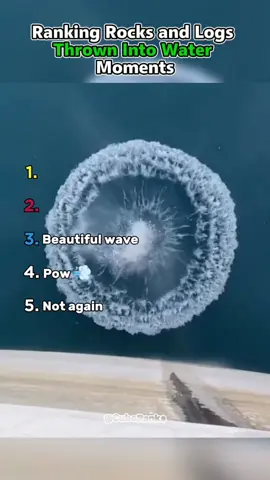 Ranking Rocks And Logs Thrown Into Water  #fyp #foryou #funny 