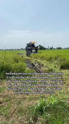 ฮักหลาย🧑🏼‍🌾🌾#หนุ่มไทบ้าน #แฟน #ฟีดดดシ 