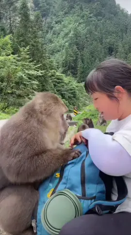 Động vật đáng yêu | Phần 116 #xuhuong #animals #pet #petcute #fyp #viral #cute #dongvatdangyeu #animals #petlover 