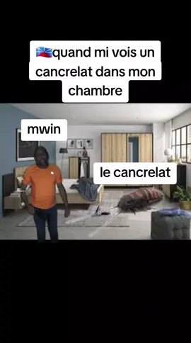 quand mi vois un cancrelat dans mon chambre #meme974🇷🇪 #humour974 #iledelareunion974🇷🇪 #humours 