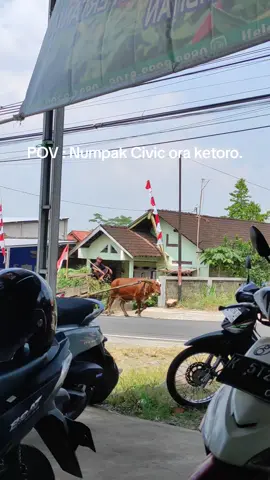 Ra sombong yo mbah 🤣 #fyp #boyolalistory #masukberanda #boyolali24jam #jowopride 