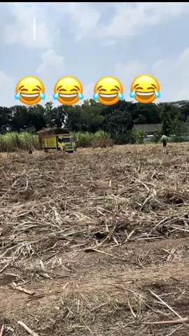 #tiktokpage #algoritmatiktok #tiktokviral #tiktokalgorithm #fyppppppppppppppppppppppp 