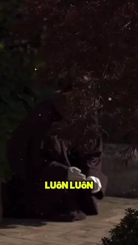 tri ân Pháp Sư Tịnh Không, nguyện khắc ghi lời dạy, một đời hành trì Tịnh độ.#phatphapnhiemmau #phapsutinhkhong 