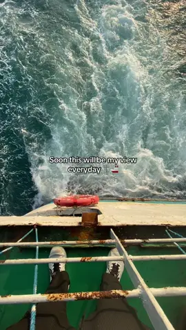 #fyp #futuremarino #bsmtstudent #maritime 