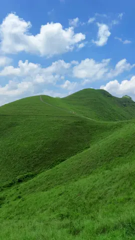 Đồi Cỏ Ba Quáng - Cao Bằng #donglongbong #caobang #doicobaquang 