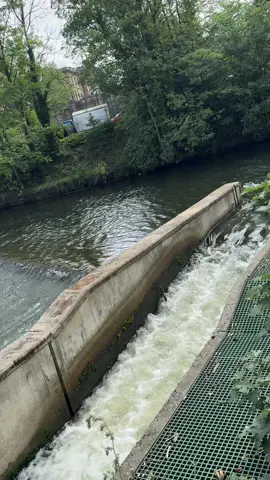 #foryoupage #fyp #viral #infareezmyaccunt 