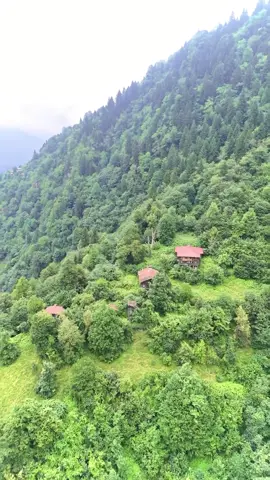 #azerbaycan🇦🇿 #azerbaijan #CapCut 