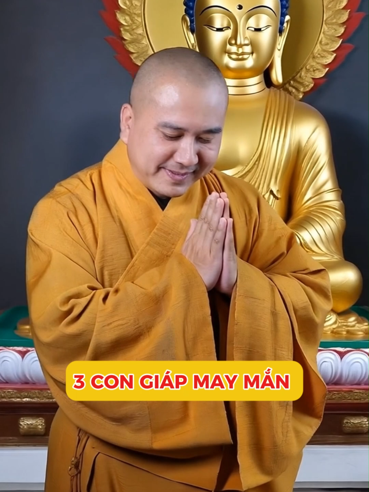 3 CON GIÁP MAY  MẮN #xuhuong #thichphaphoa #labode12congiap #vongtram108hatmixhoasen #tuvi12congiap #xuhoamai #phatphapnhiemmau #tamlinhhuyenbi #phongthuytamlinh #phongthuy