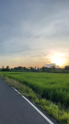 ด่นแล่วไป่😥😭#วิวบ้านนอก🍃 #ท้องฟ้ายามเย็นพระอาทิตย์ตก🌄 #อย่าปิดการมองเห็น #ฟีดดดシ 