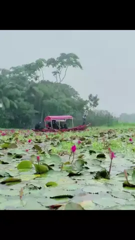 #duet with @Eshan🕸️🧃