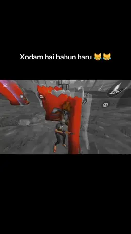 xodam hai bahun haru #bungur #bahun #fffffffffffyyyyyyyyyyypppppppppppp #viral #456exe 