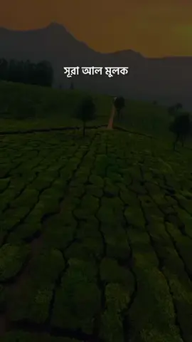 সূরা আল-মুলক || Surah Al-Mulk || #holyquran #foryoupage #vrial_video #tiktok 
