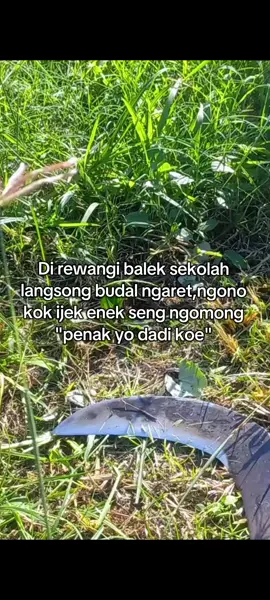 ojo lali bersyukurr cahh #fyppp #tukangngaret #peternakmuda #peternakkambing #petaniindonesia🇮🇩🇮🇩🇮🇩🌿🌿 