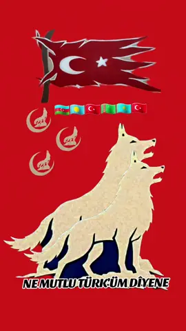 #Türk #nemutlutürkümdiyene🇹🇷🇹🇷 # #Turan #Ülkücü##Turan #Türkiye 