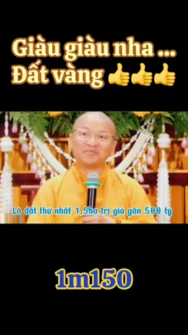 #thichnhattu #thichnhattuvandap #thichnhattuphapthoai #thichnhattuofficial #thichchuyenkhoan #cutu #xamtang #matang #chuagiacngo #chuagiacngobrvt #chuagiacngoq10 #khaido071169 