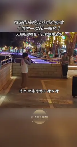 音乐分享《想你一次起一阵风》天籁般的嗓音 #好听的音乐总是触动人的心灵 #关注我每天分享好听音乐 …‼️‼️‼️