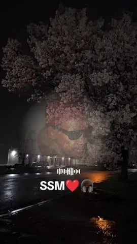 SSM❤️🎧
