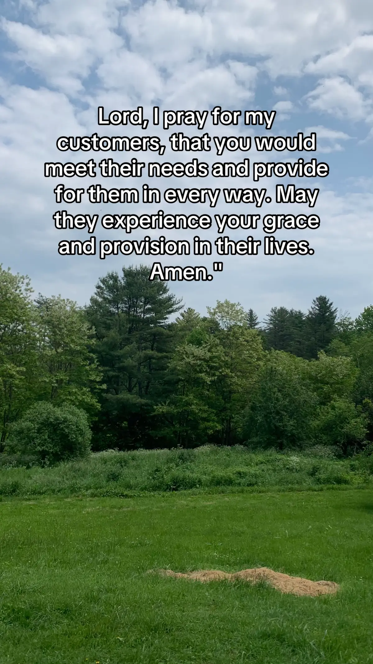 Lord, I pray for my customers, that you would meet their needs and provide for them in every way. May they experience your grace and provision in their lives. Amen.