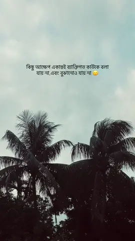 কিছু আক্ষেপ একান্তই ব‍্যাক্তিগত কাউকে বলা যায় না এবং বুঝানোও যায় না 🙂#unfrezzmyaccount #caption #fypシ #goviral #vairalvideo #bdtiktokofficial🇧🇩 #foryou 