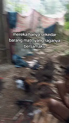🙏🙏#rogosukmosidodadi #jaranbigarkaranganyar #sedulurmediasragenkaranganyar #rgso #jarandorsragenkaranganyar 